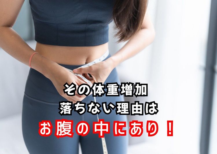 野の痩せない身体原因は腸内環境でした